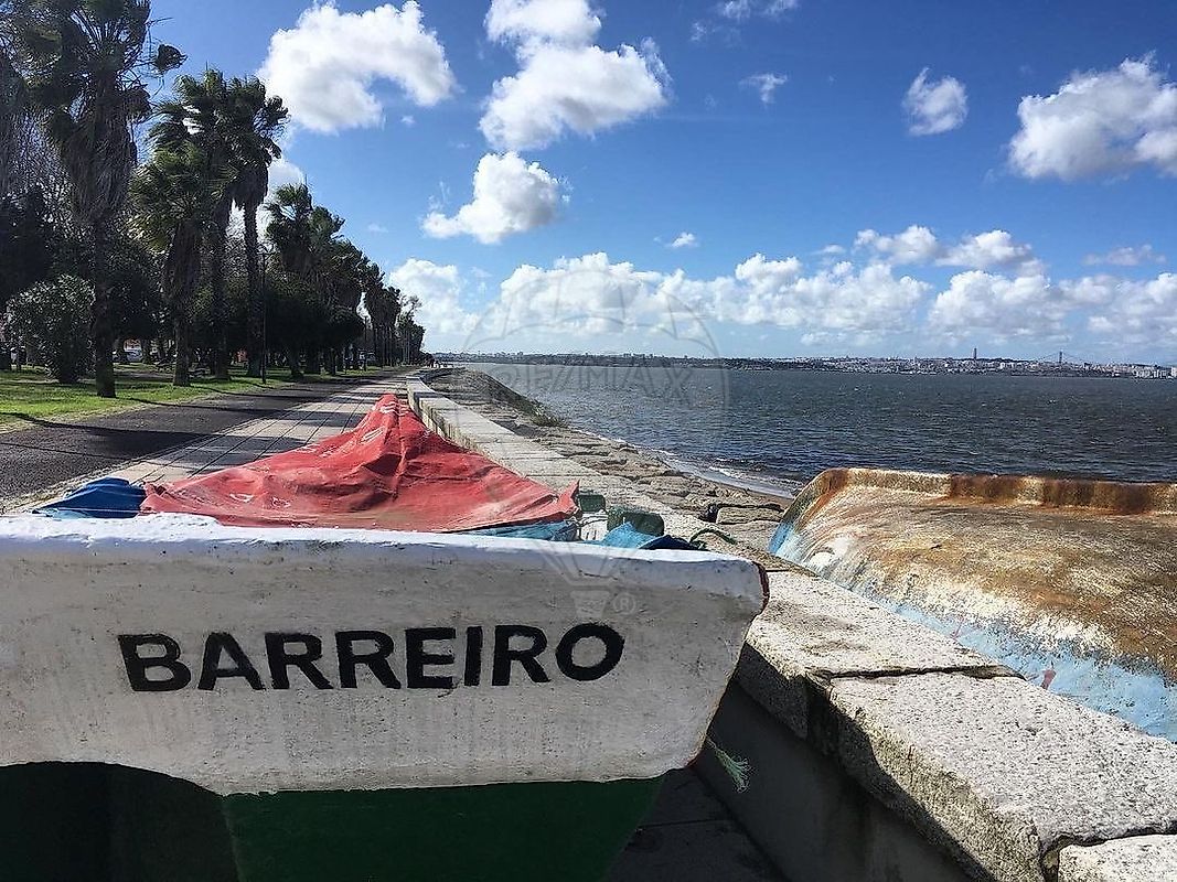 Terreno  para venda