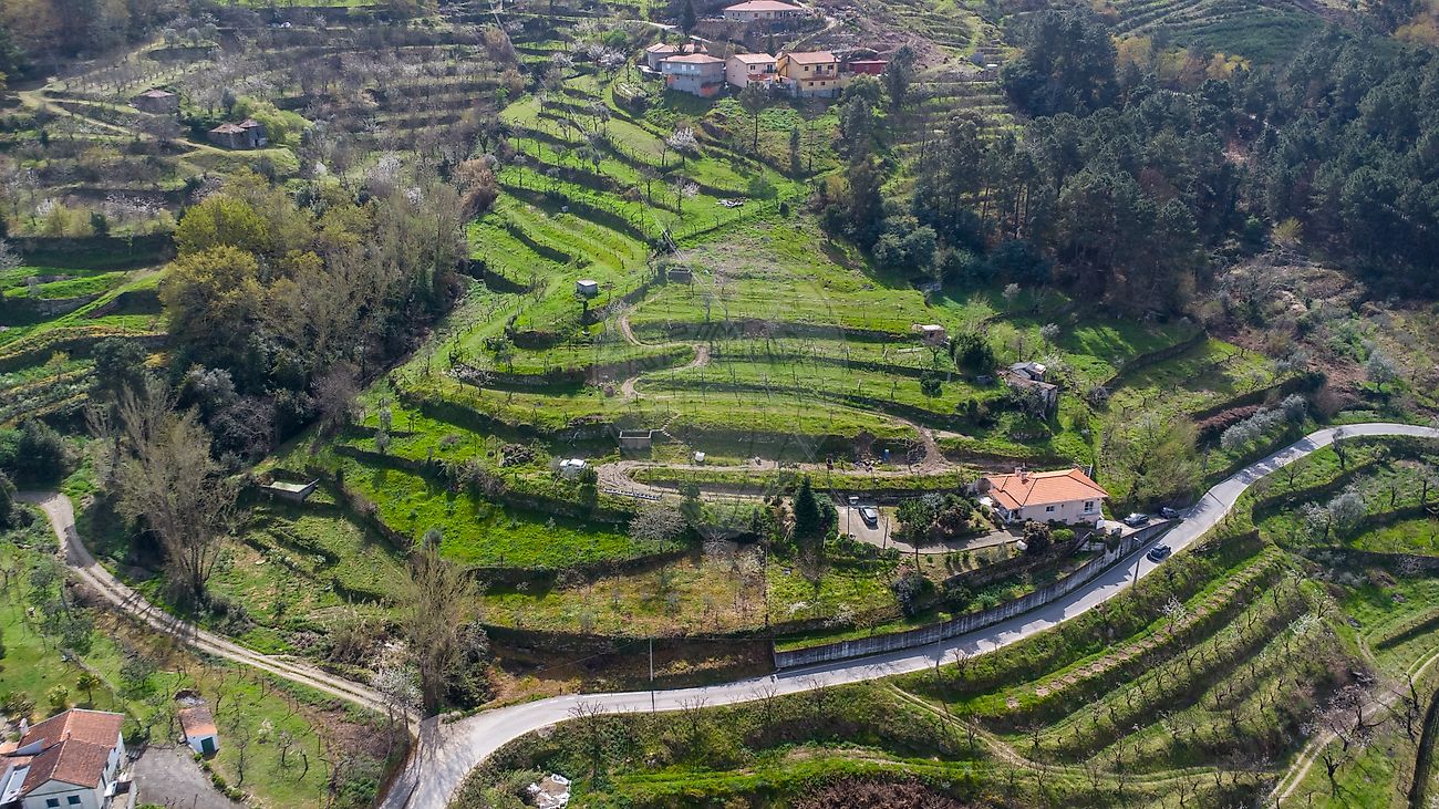 Quinta T2 para venda