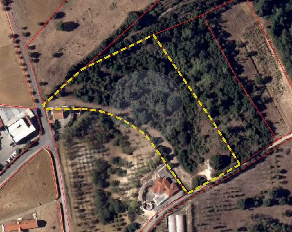 Terreno  para venda