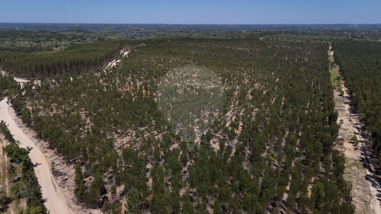 Moradia T4 para venda