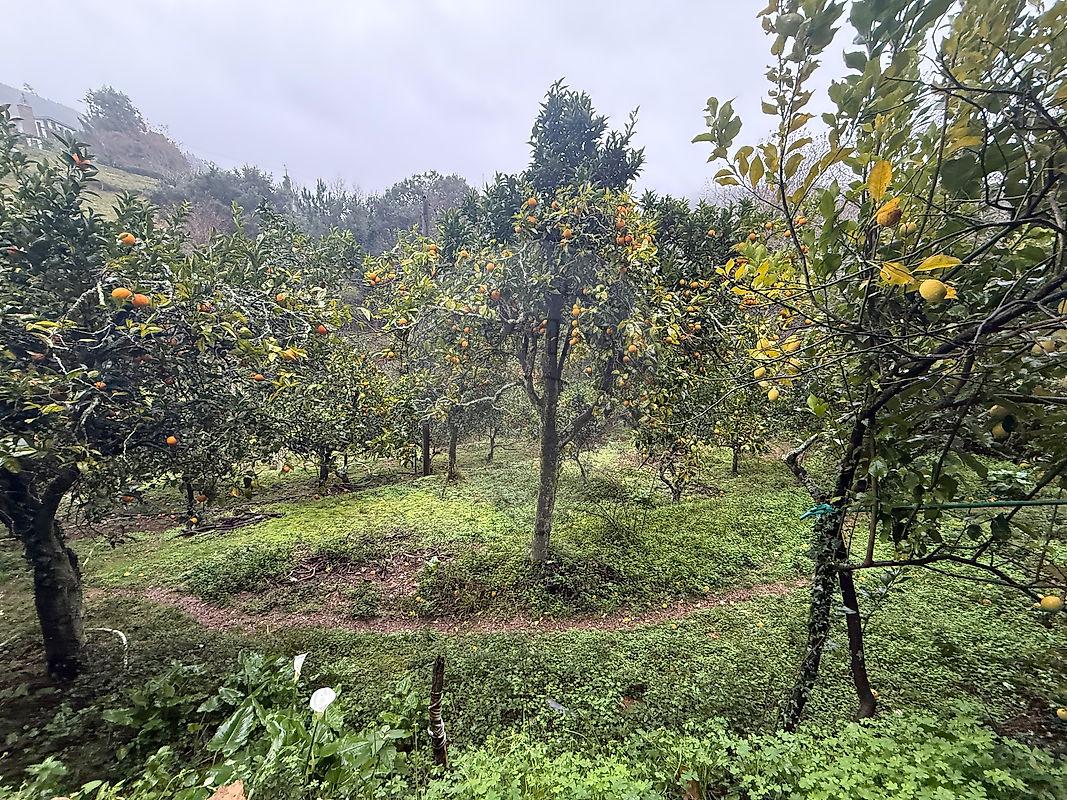 Moradia T6 para venda