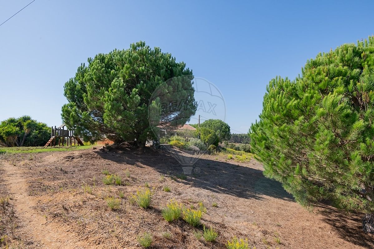 Quinta T3 para venda