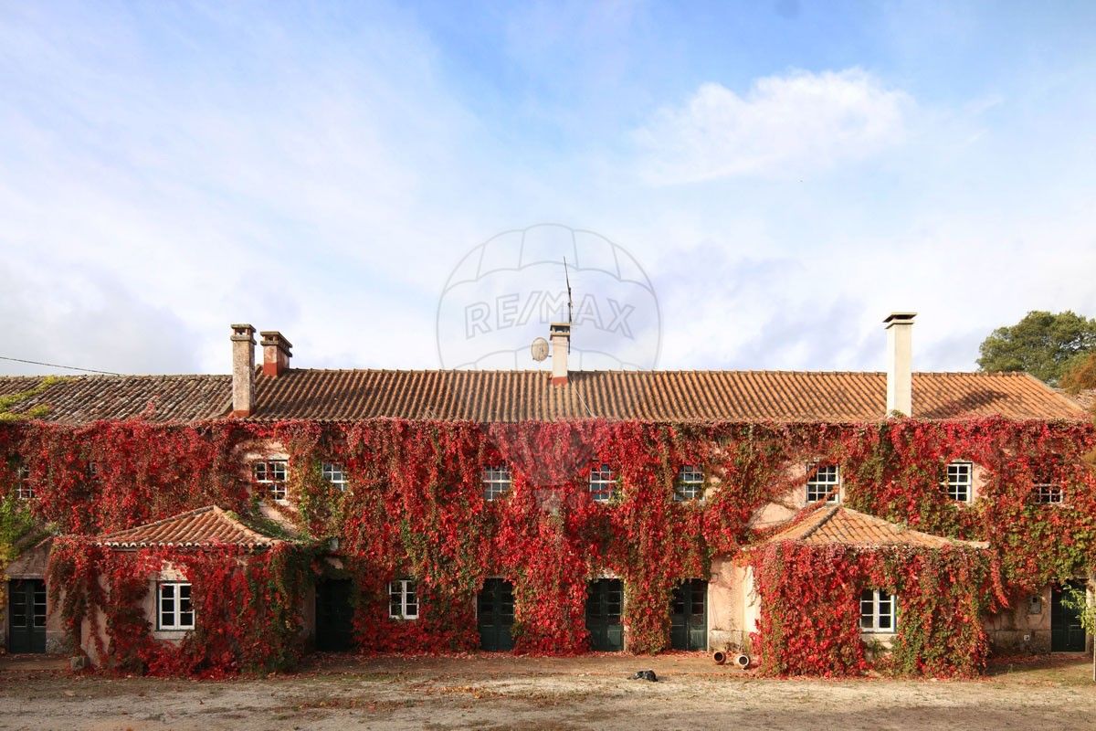 Quinta T15 para venda