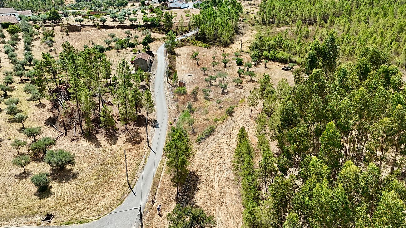 Terreno  para venda