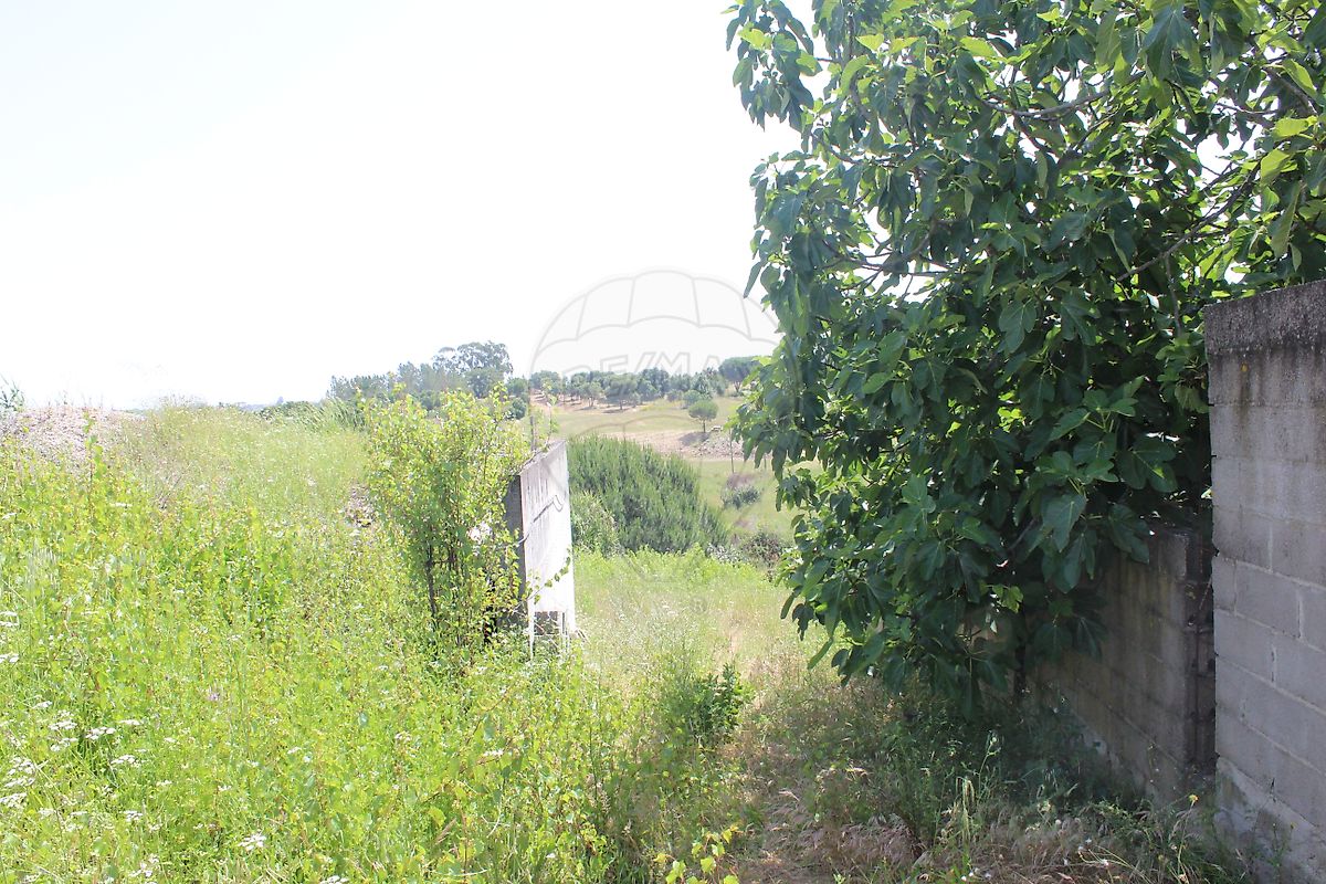 Terreno  para venda