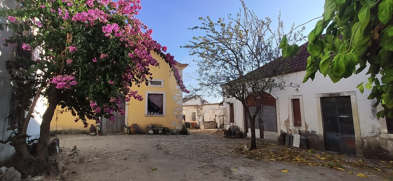 Armazém  para venda