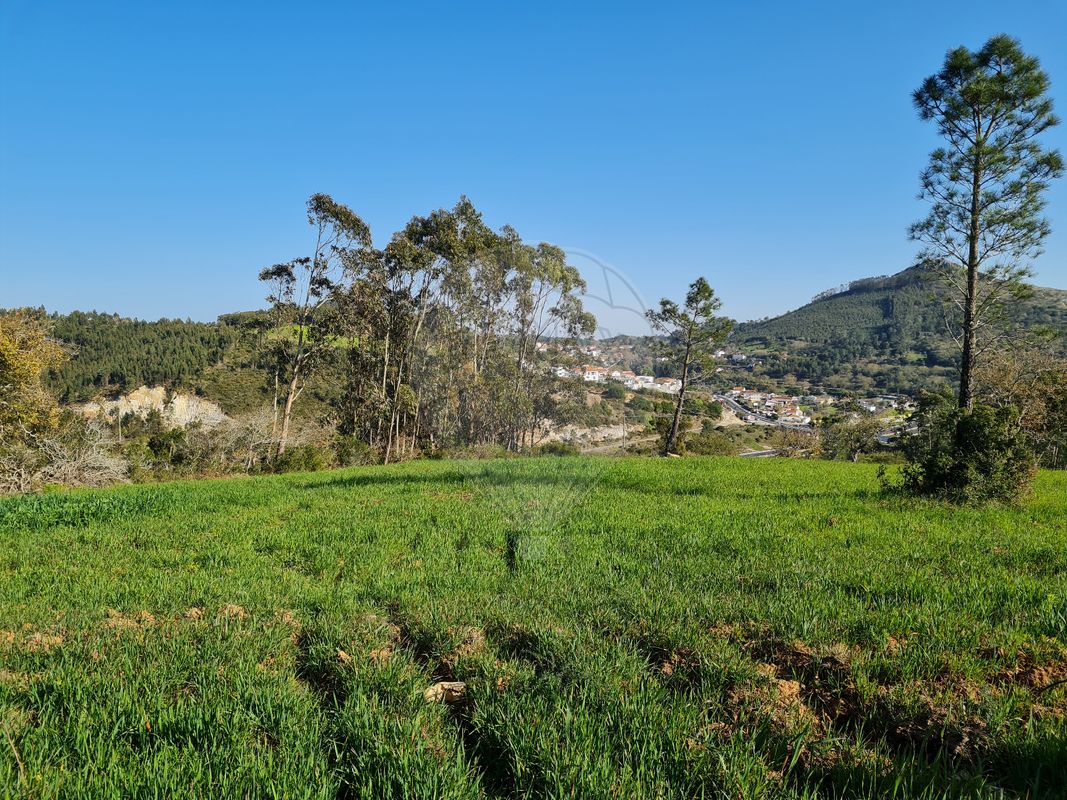 Terreno  para venda