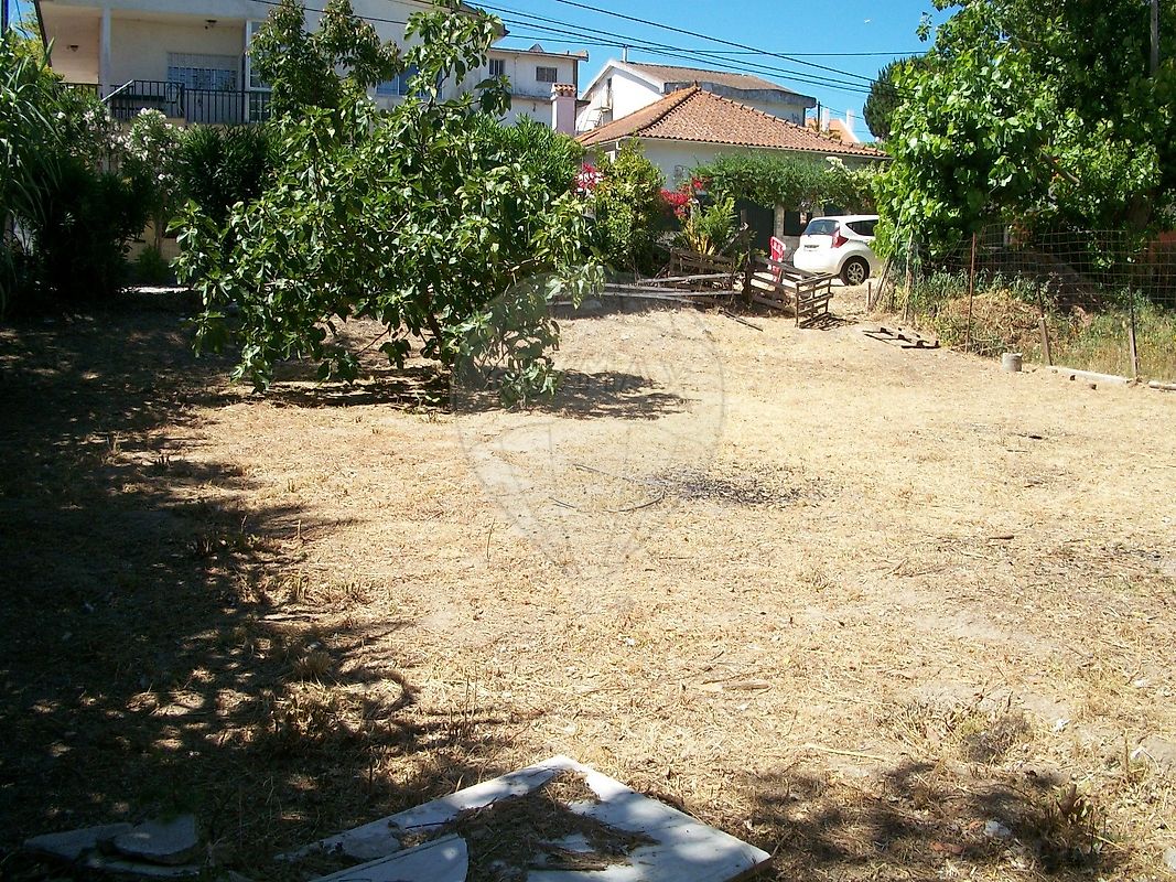 Terreno  para venda