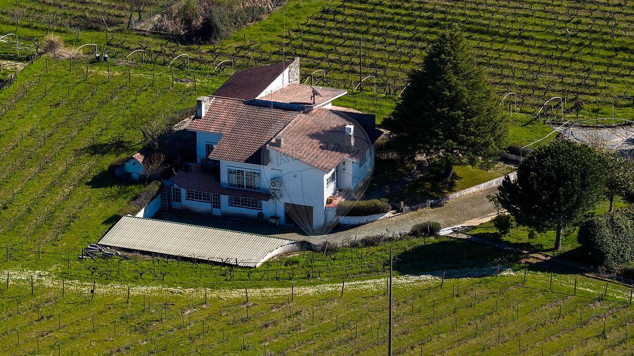 Quinta T7 para venda