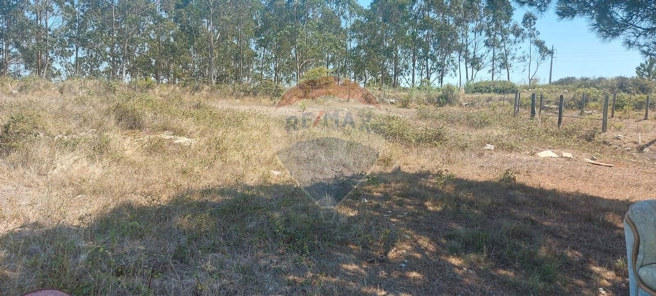 Terreno  para venda