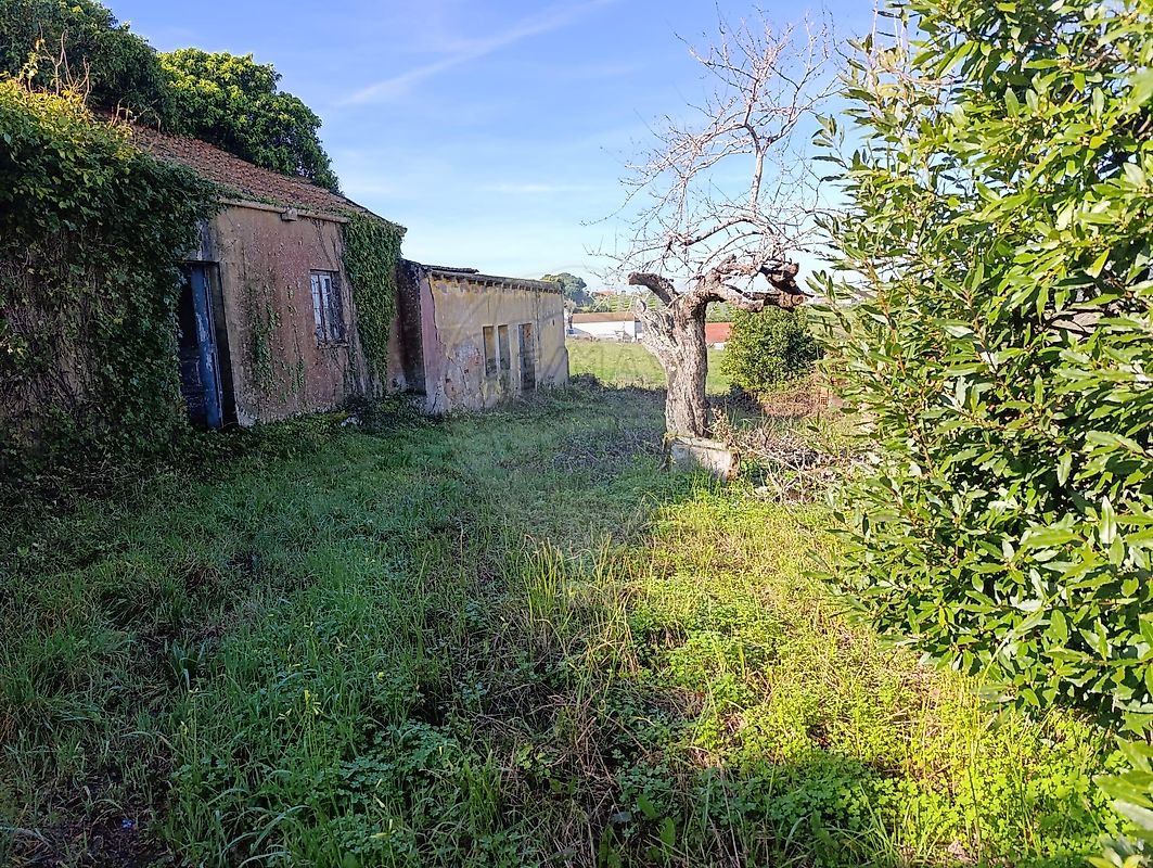 Moradia T0 para venda