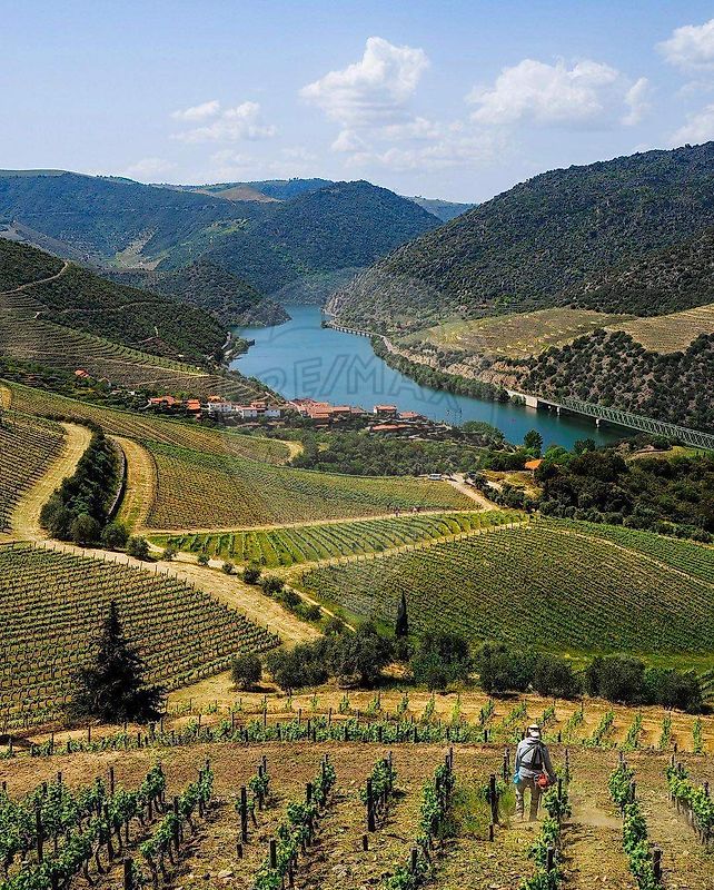 Moradia T0 para venda