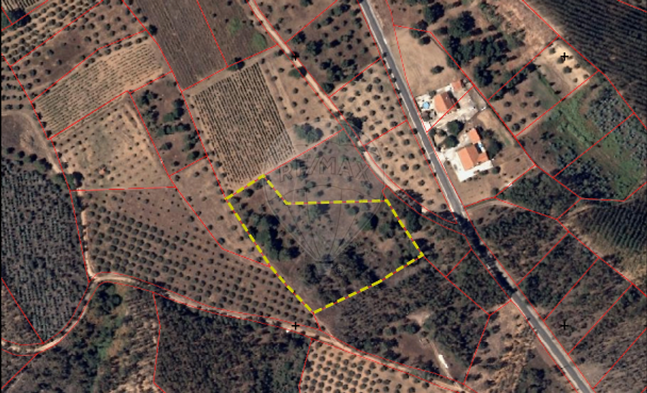 Terreno  para venda