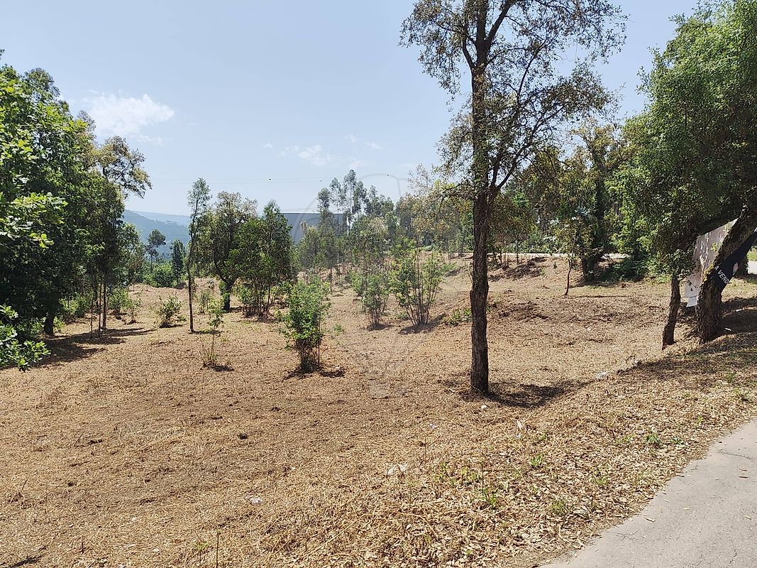 Terreno  para venda