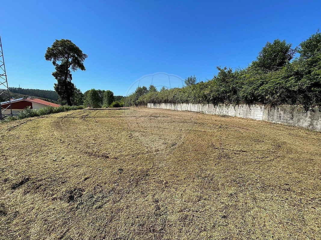 Terreno  para venda