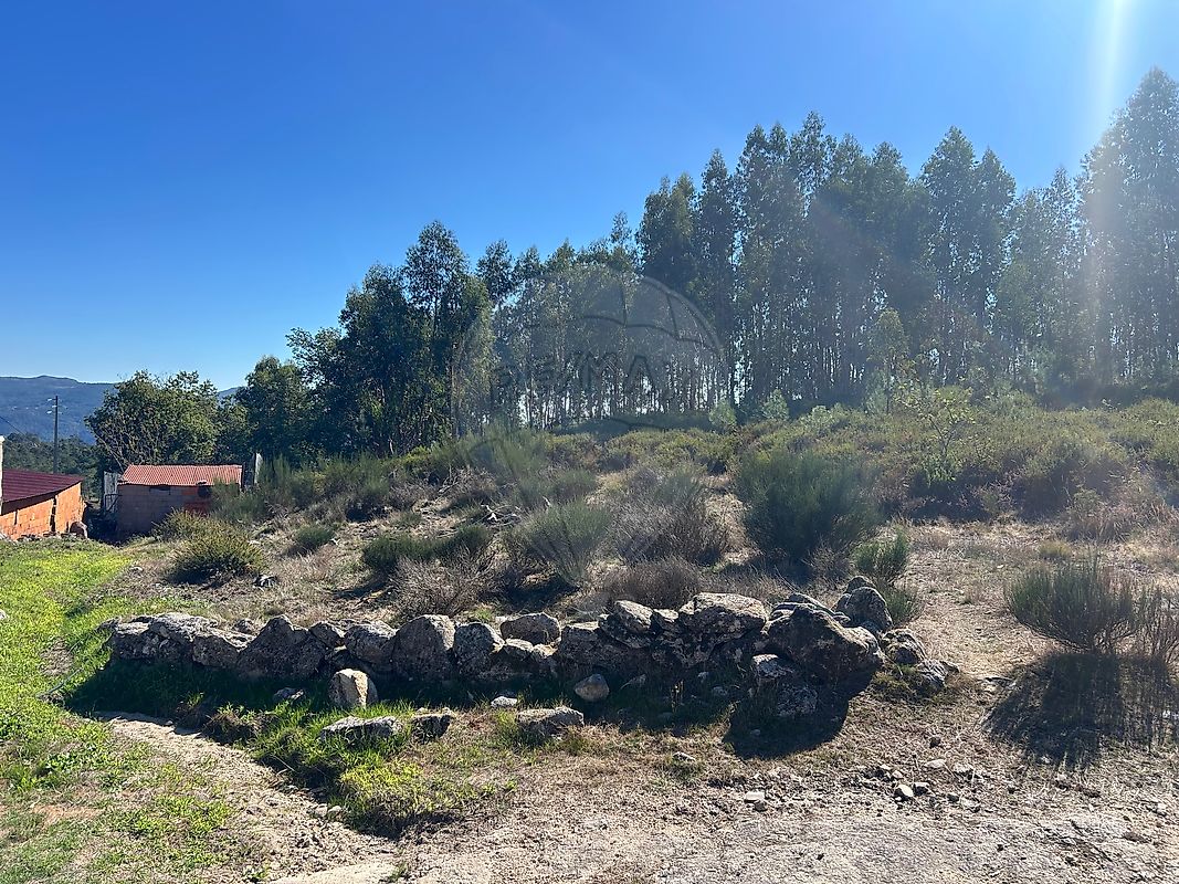 Terreno  para venda