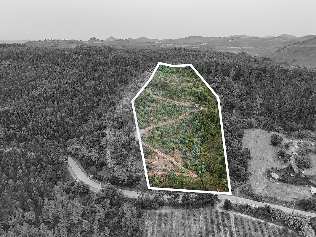 Terreno  para venda