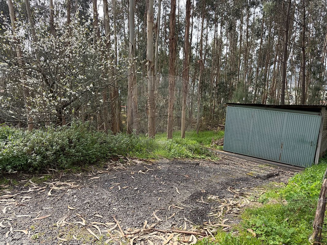 Industrial  para venda