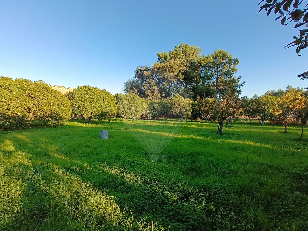 Terreno  para venda