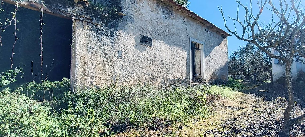 Arrecadação  para venda