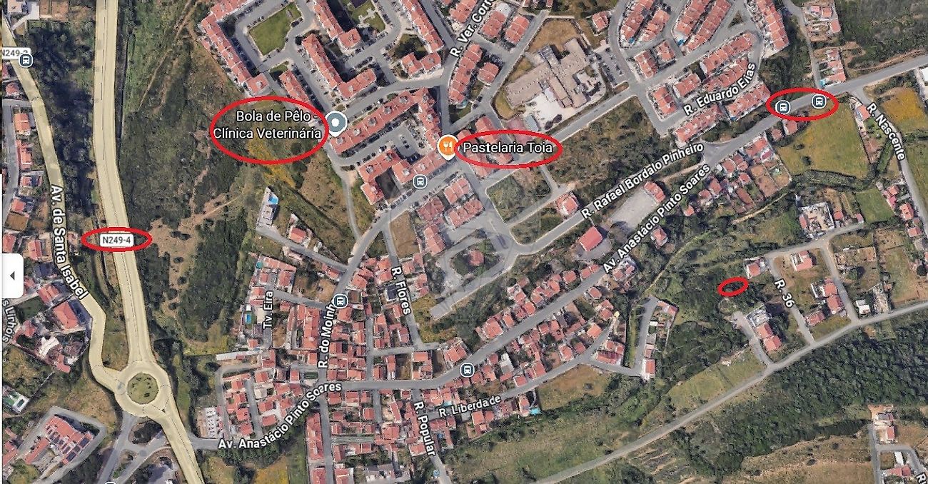 Terreno  para venda