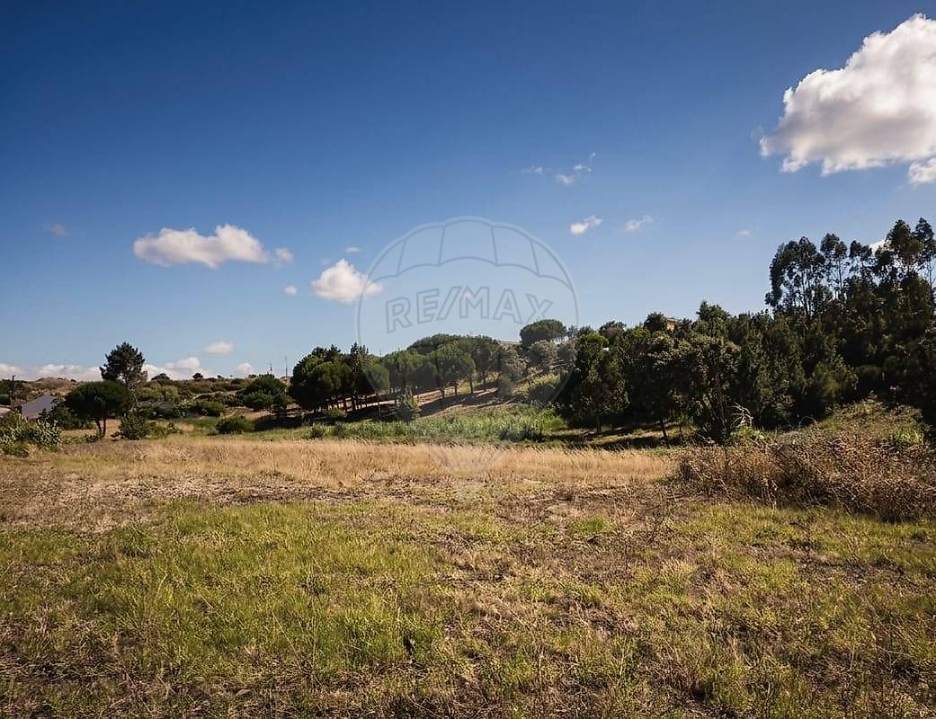 Terreno  para arrendamento