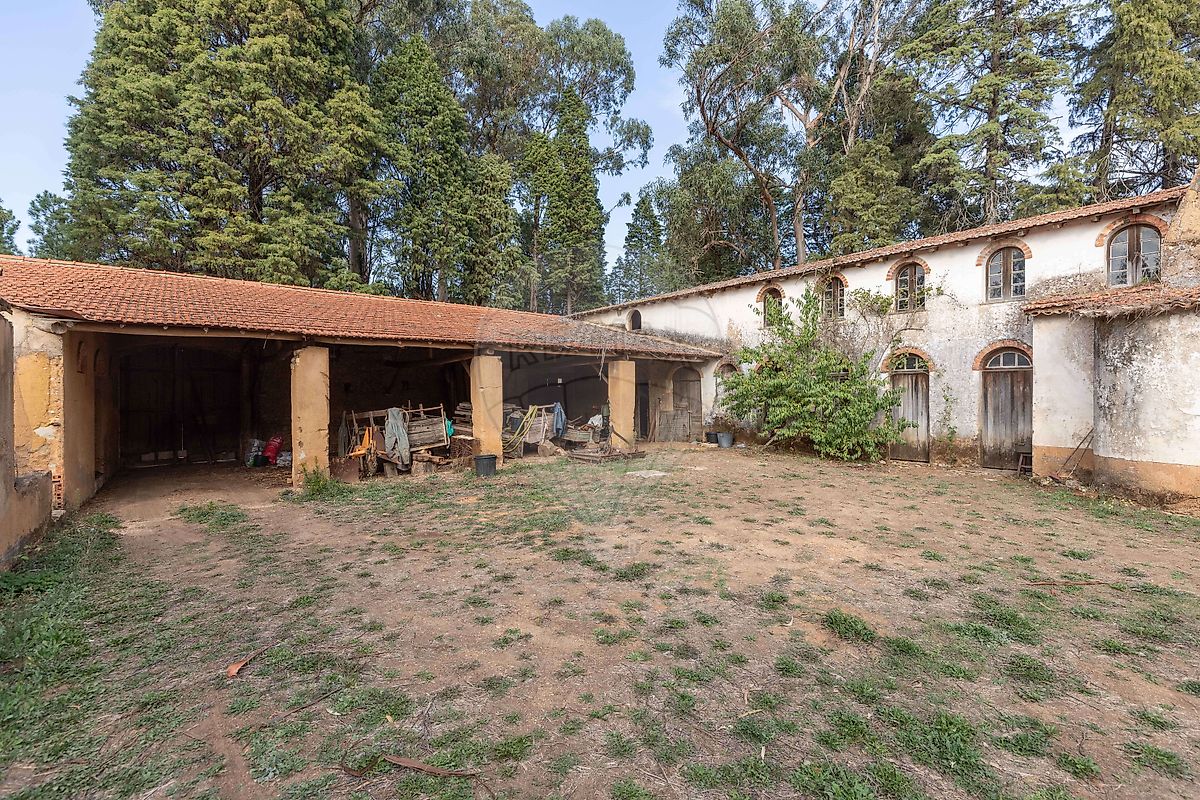 Quinta T8 para venda